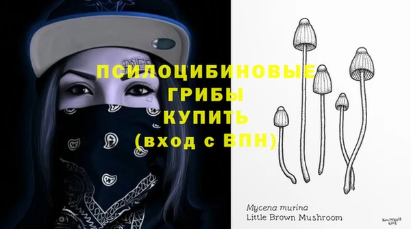 молекула духа Заволжье
