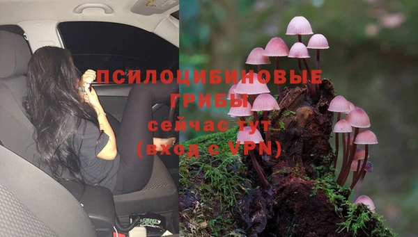 дурь Заволжск